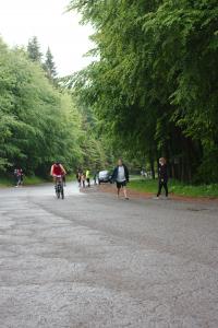 IMG 4929